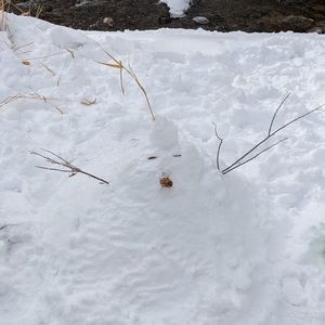 Meet your Posher, Daniela